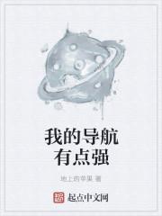 我的导航有点强