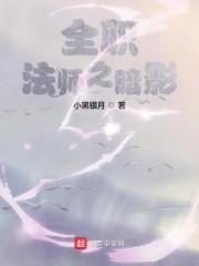 全职法师之暗影