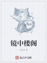 镜中楼阁