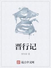 晋行记