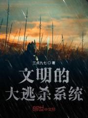 文明的系统