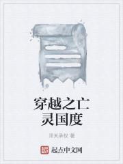 穿越之亡灵国度