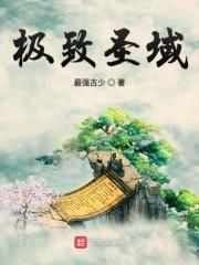 极致圣域