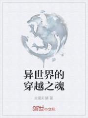 异世界的穿越之魂