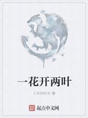 一花开两叶