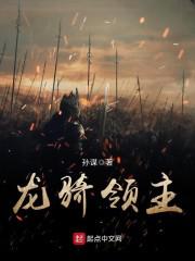 龙骑领主