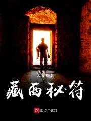 藏西秘符