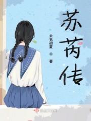苏芮传