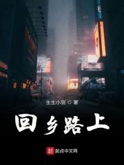 回乡路上