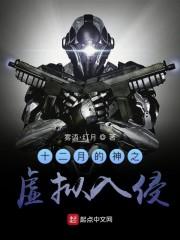 十二月的神之虚拟入侵