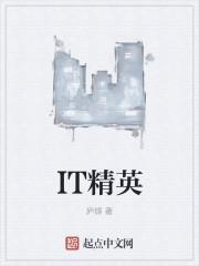 IT精英
