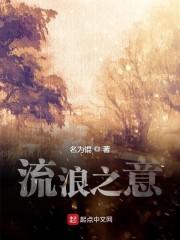流浪之意