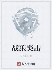 战狼突击