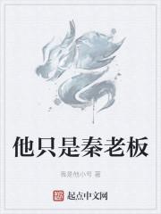 他只是秦老板