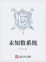 未知数系统
