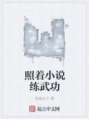 照着小说练武功
