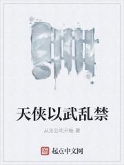 天侠以武乱禁