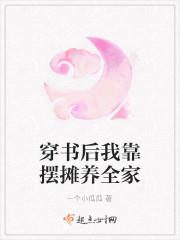 穿书后我靠摆摊养全家