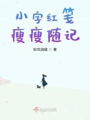 小字红笺瘦瘦随记