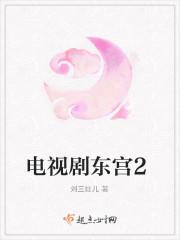 电视剧东宫2
