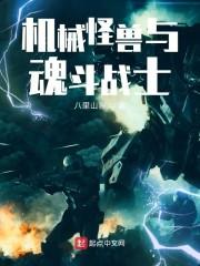 机械怪兽与魂斗战士