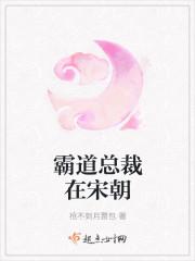 霸道总裁在宋朝