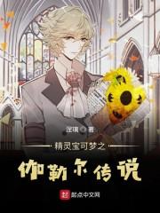 精灵宝可梦之伽勒尔传说