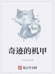 奇迹的机甲