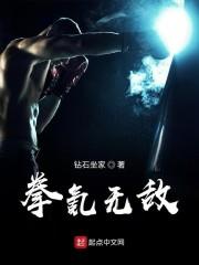 拳氪无敌