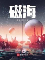 磁海