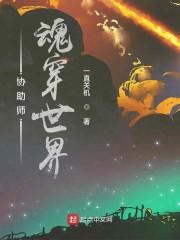 心愿师:魂穿世界