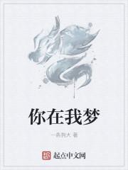 你在我梦
