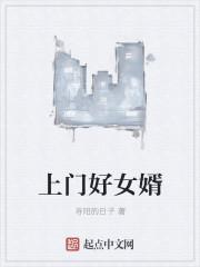 上门好女婿