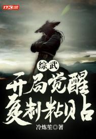 综武:开局觉醒复制粘贴