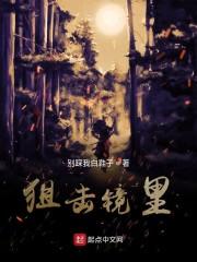 狙击镜里