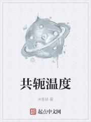 共轭温度