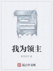 我为领主