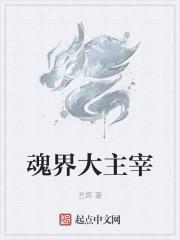 魂界大主宰