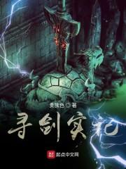 寻剑实记