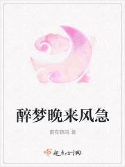 醉梦晚来风急