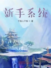 新手系统