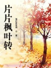 片片枫叶转