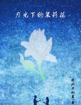 月光下的茉莉花