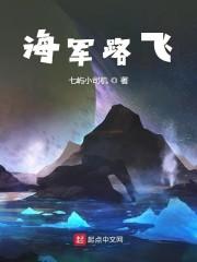海军路飞