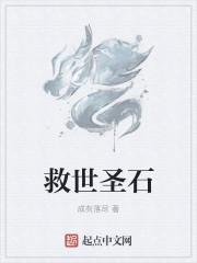 救世圣石