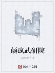 颠疯武研院