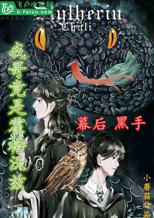 我哥竟是霍格沃兹幕后黑手