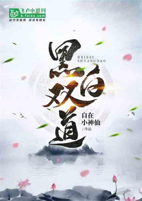 黑白双道