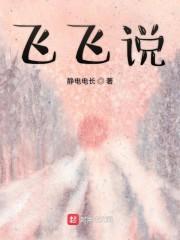 飞飞说