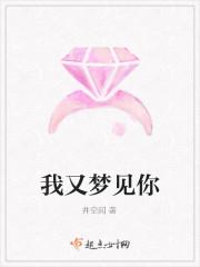 我又梦见你